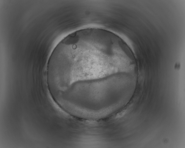 X0000091950911200710041005