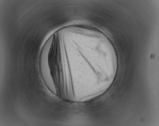 X0000091950912200710041005
