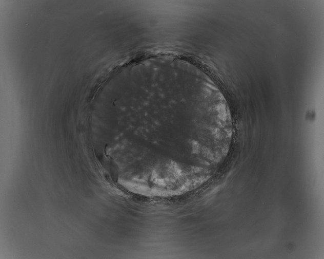 X0000091950913200710041005
