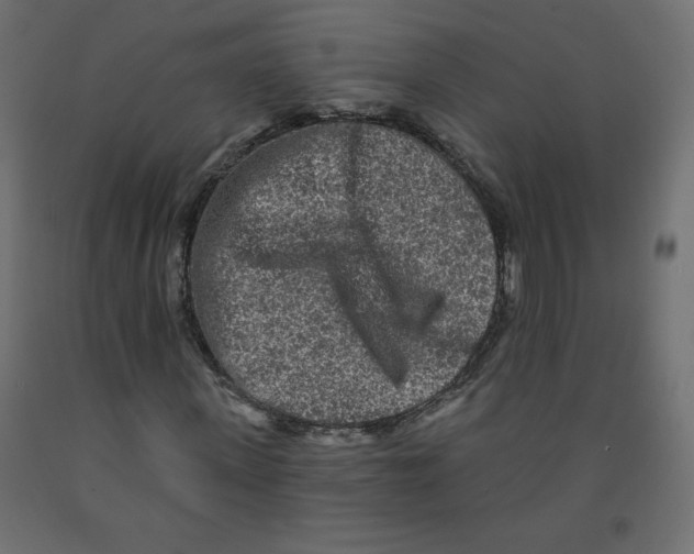X0000091950915200710041005