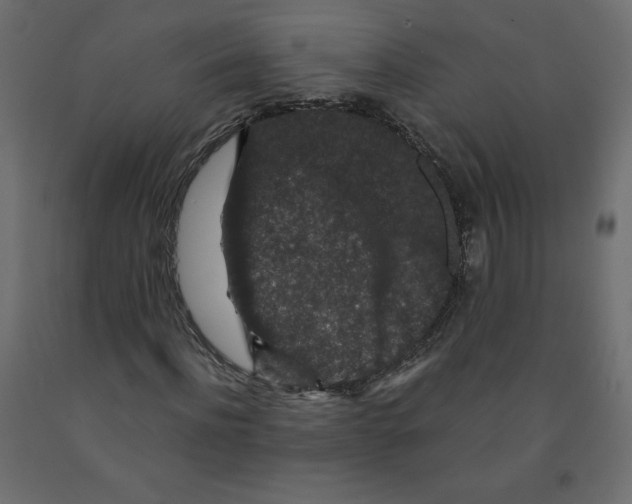 X0000091950916200710041005