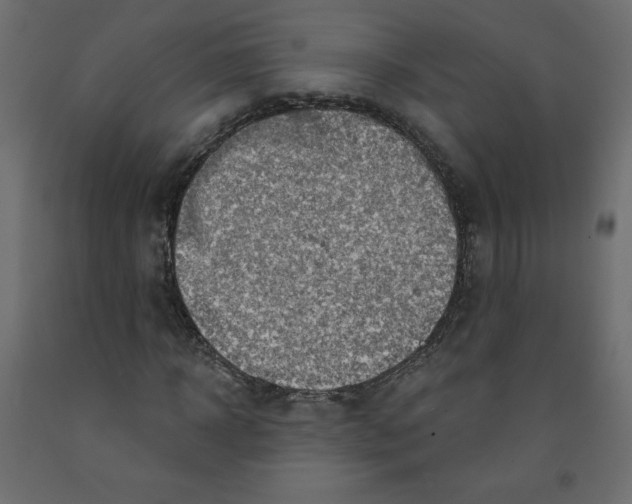 X0000091950918200710041005