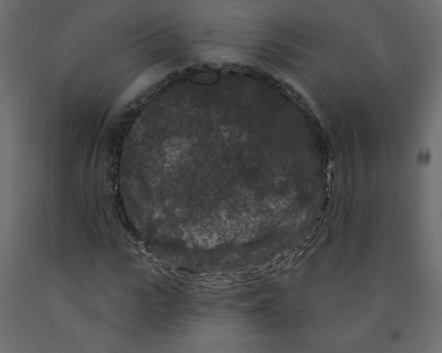 X0000091950919200710041005