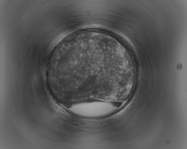 X0000091950921200710041005