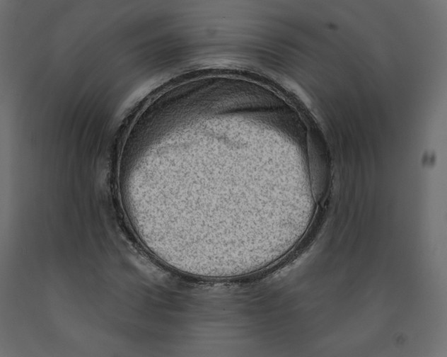X0000091950922200710041005
