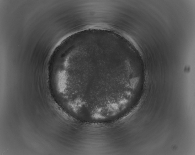 X0000091950923200710041005