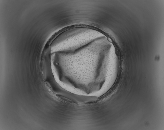 X0000091950924200710041005