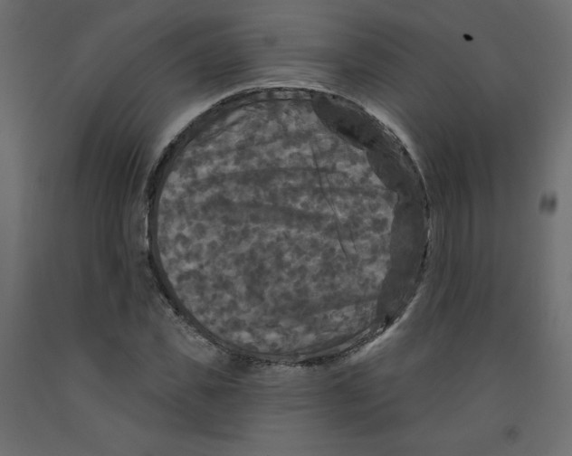X0000091950925200710041005