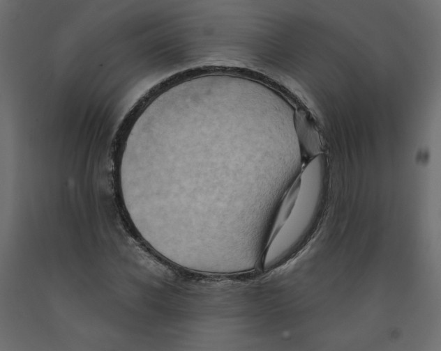 X0000091950926200710041005