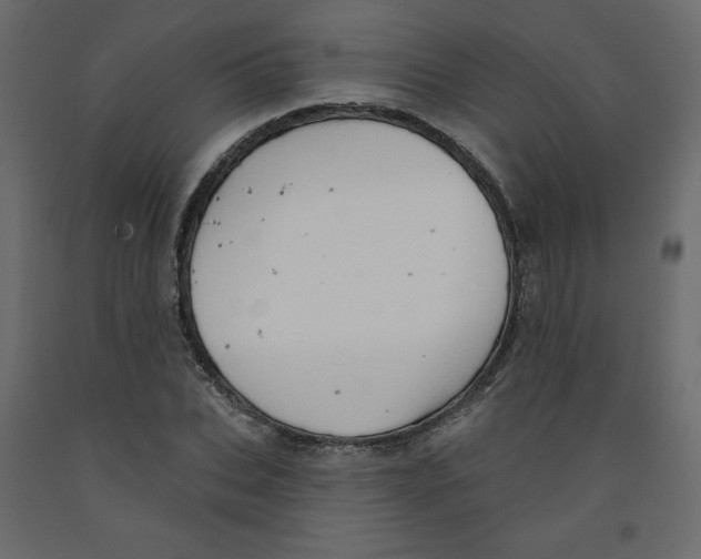 X0000091950927200710041005
