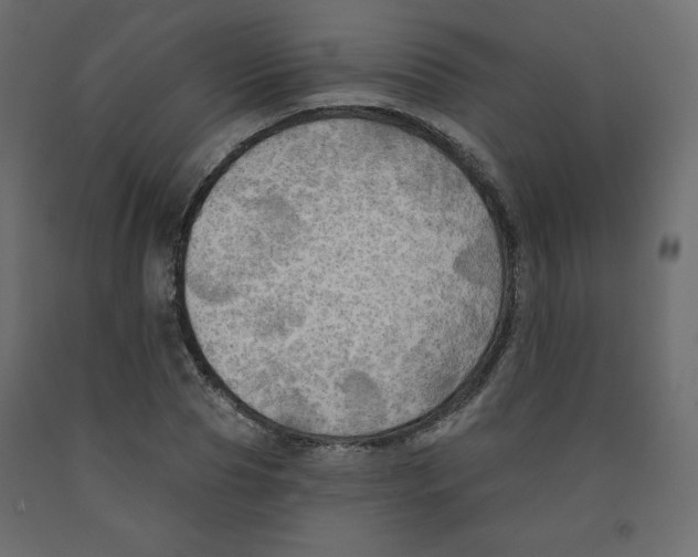 X0000091950929200710041005