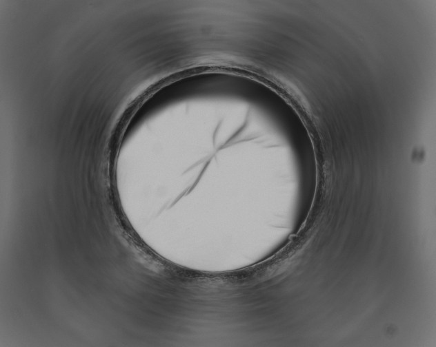 X0000091950931200710041005