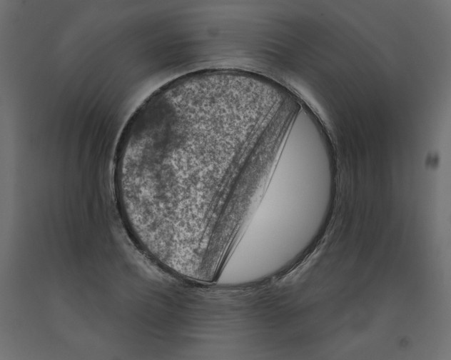 X0000091950932200710041005