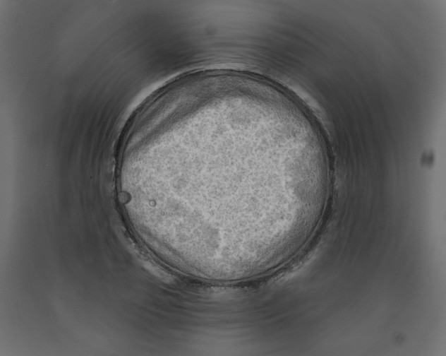 X0000091950933200710041005