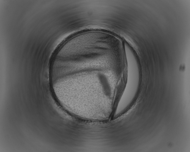 X0000091950934200710041005