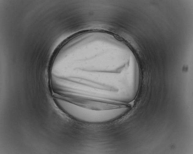 X0000091950936200710041005
