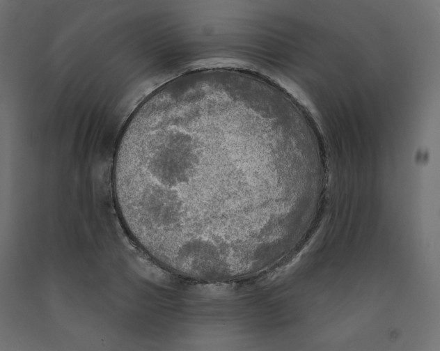 X0000091950937200710041005