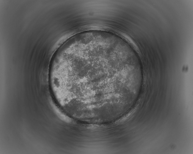 X0000091950938200710041005