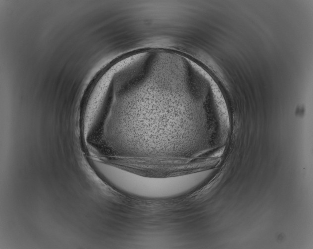 X0000091950939200710041005