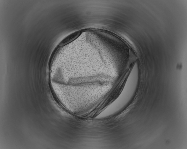 X0000091950940200710041005