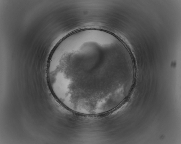 X0000091950941200710041005