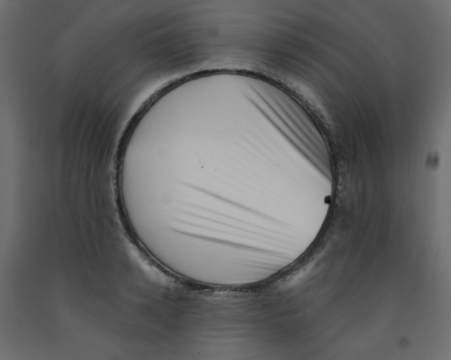 X0000091950942200710041005