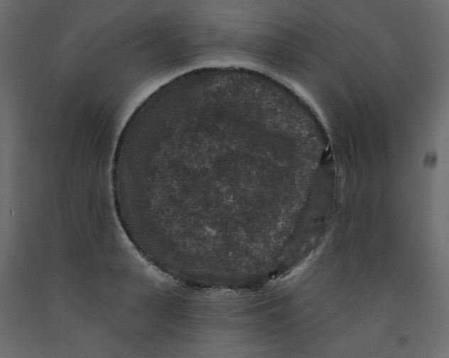 X0000091950943200710041005