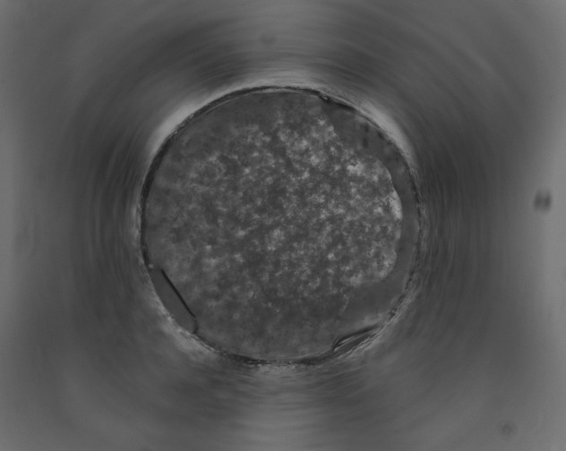 X0000091950944200710041005