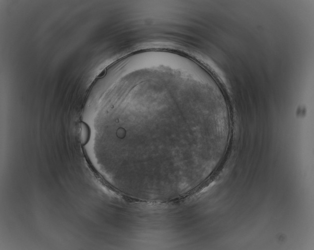X0000091950945200710041005