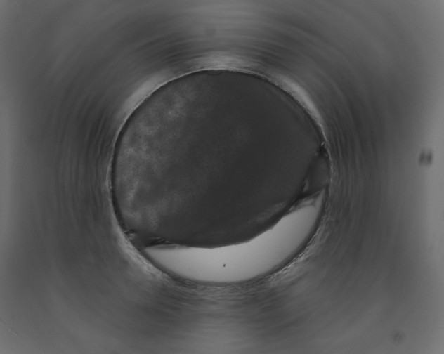 X0000091950946200710041005
