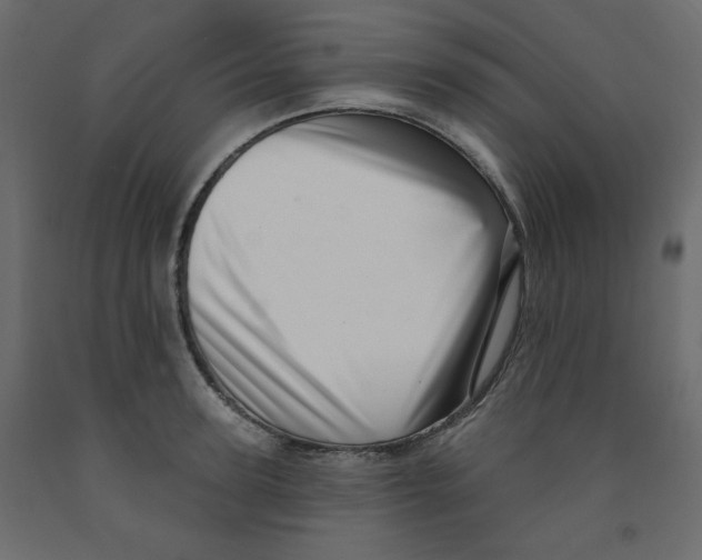 X0000091950947200710041005