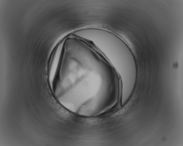 X0000091950948200710041005