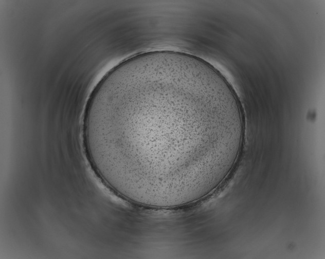 X0000091950949200710041005