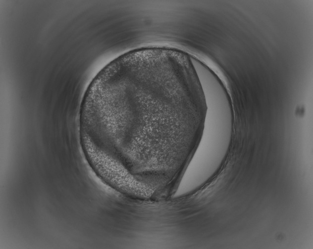 X0000091950951200710041005