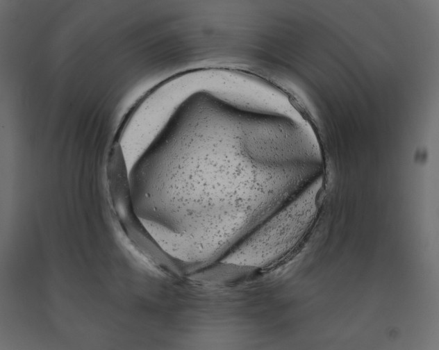 X0000091950952200710041005