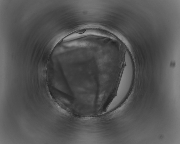 X0000091950953200710041005