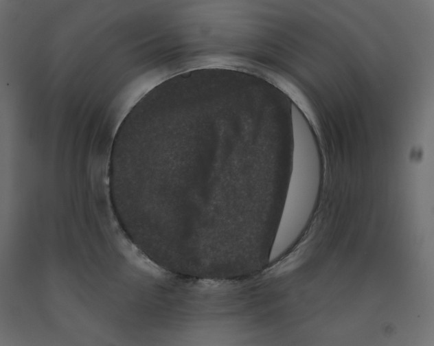 X0000091950954200710041005