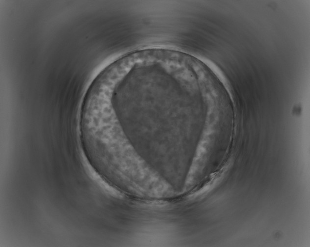 X0000091950957200710041005