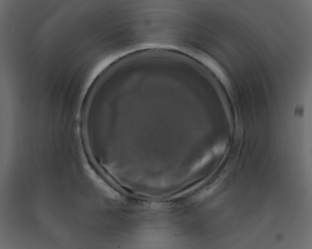 X0000091950958200710041005