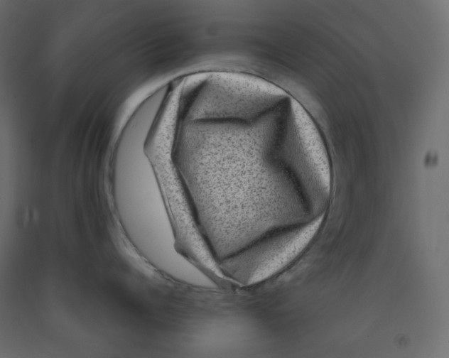 X0000091950960200710041005