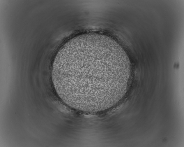 X0000091950961200710041005