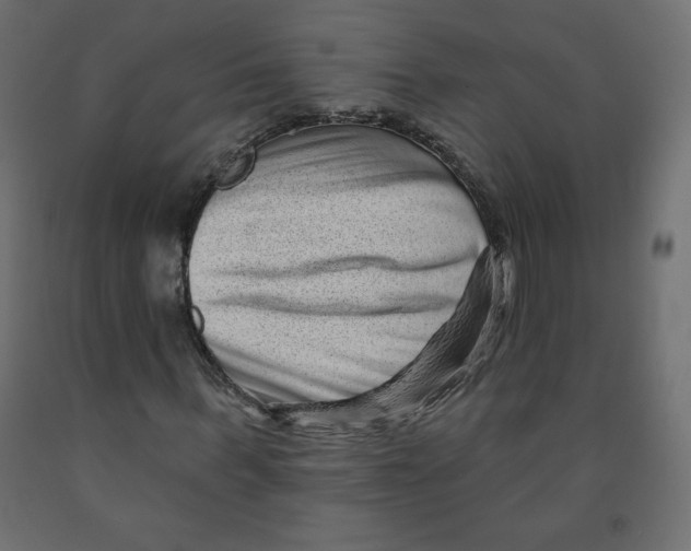 X0000091950963200710041005