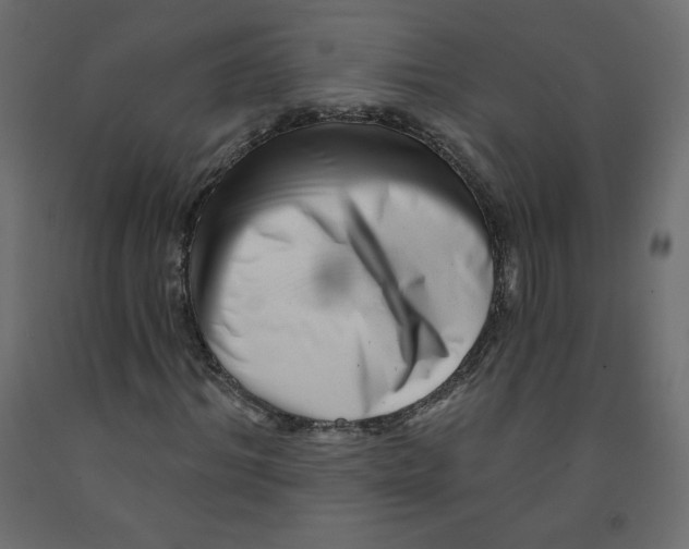 X0000091950964200710041005