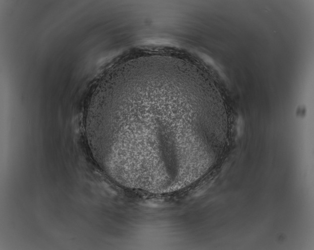 X0000091950965200710041005