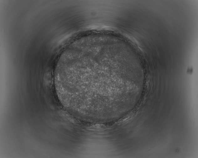 X0000091950966200710041005