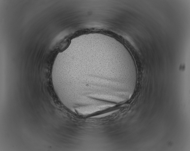 X0000091950967200710041005