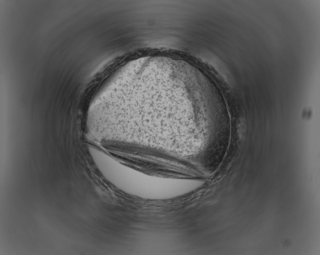 X0000091950968200710041005