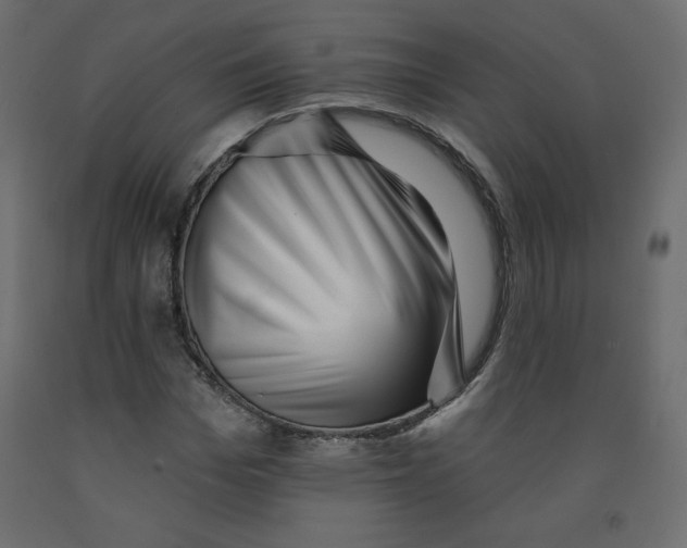 X0000091950969200710041005