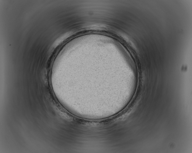 X0000091950970200710041005