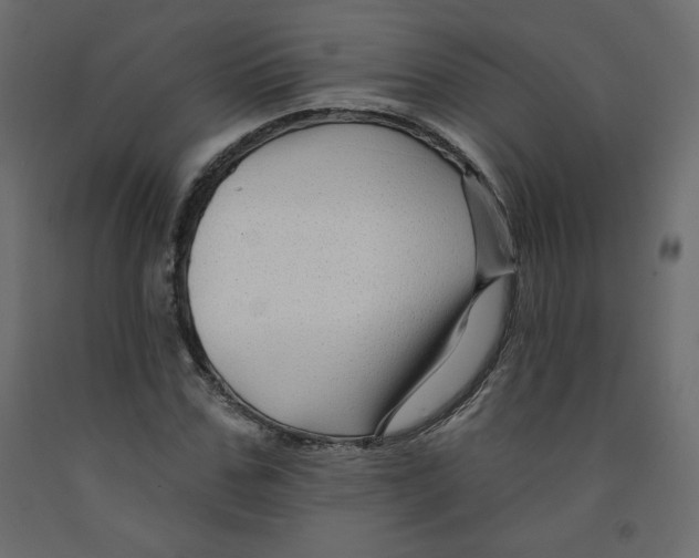X0000091950971200710041005